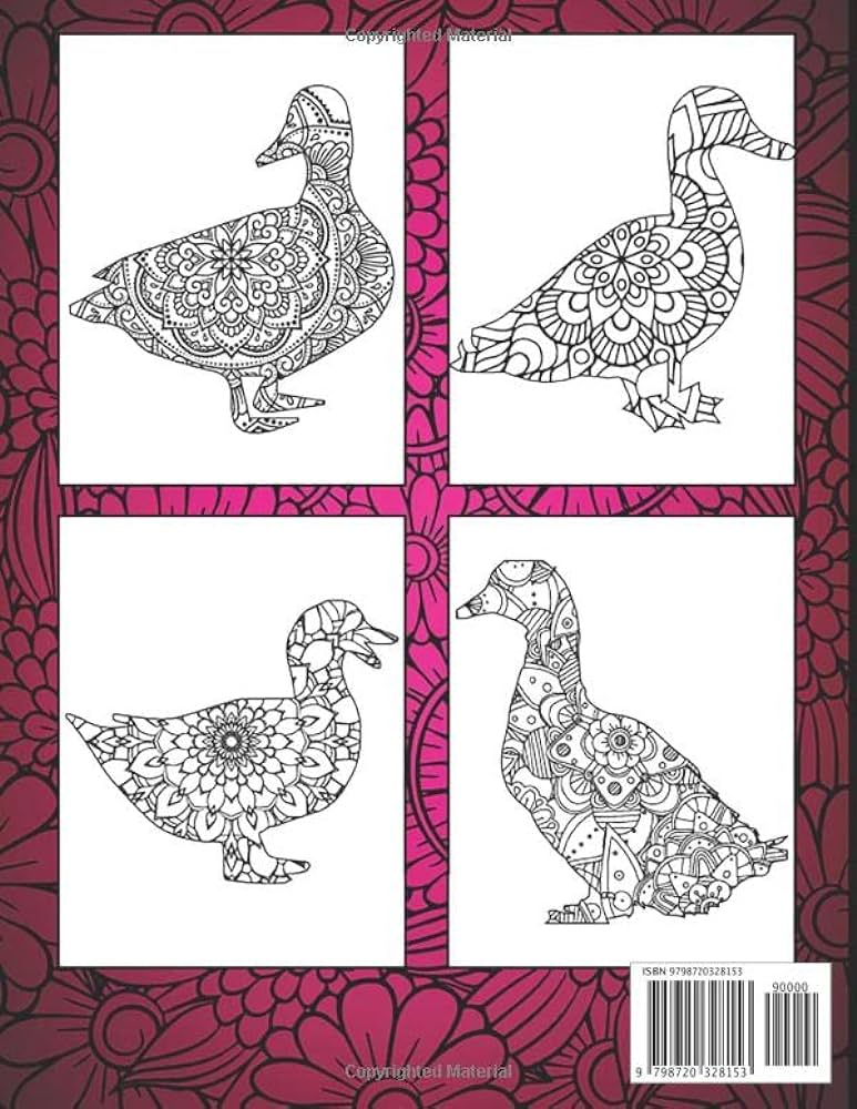 Duck loring book intricate duck loring pages with beautiful patterns to release stress after stressful working hours duck gifts for women illustrations real books