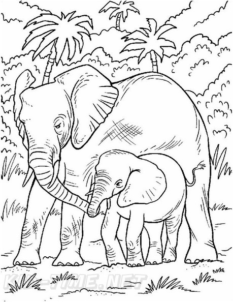 Realistic elephant coloring book page