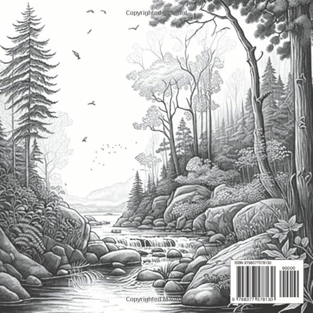 Forest landscapes grayscale coloring book schoenenberger anna maria books