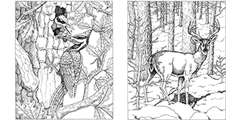 Forest animals coloring book gaspas dianne books