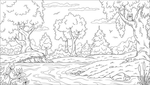 Coloring pages forest images â browse photos vectors and video