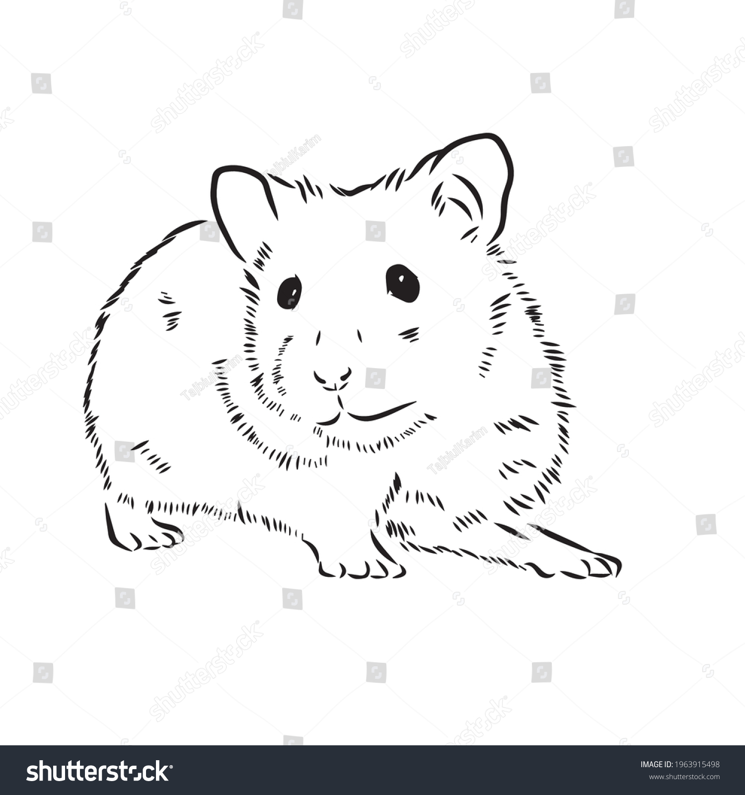 Funny hamster coloring pages animal coloring stock vector royalty free