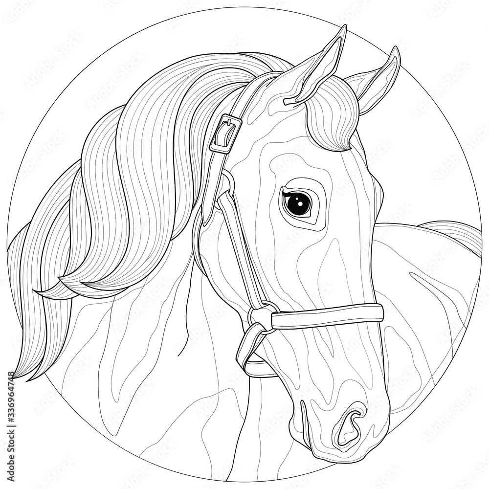 A beautiful horsecoloring book antistress for children and adults zen