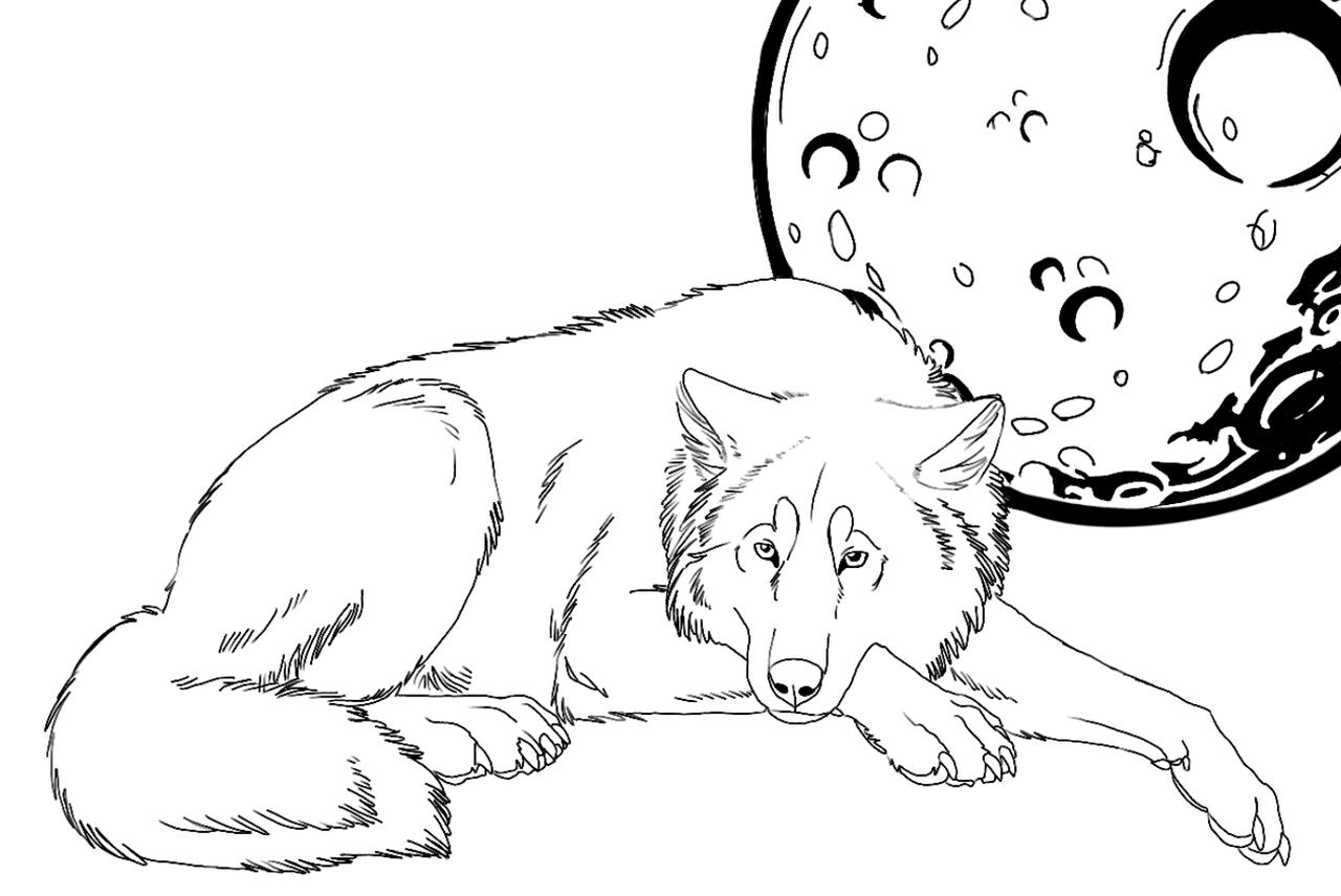 Wolf moon coloring sheet by purpleworldbts on
