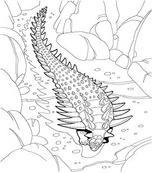 Dinosaurs coloring book jan sovak books