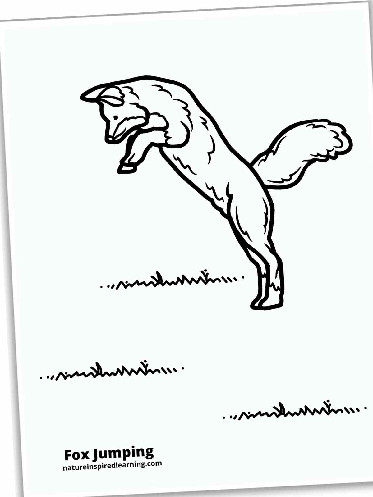Realistic fox coloring pages