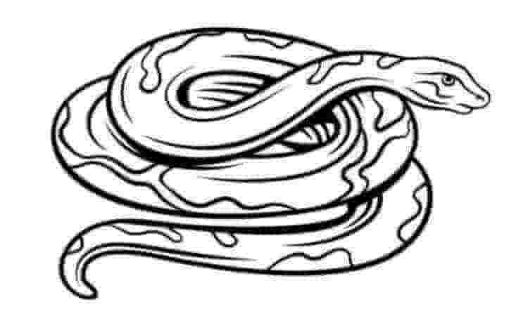 Snake coloring pages kids coloring pages