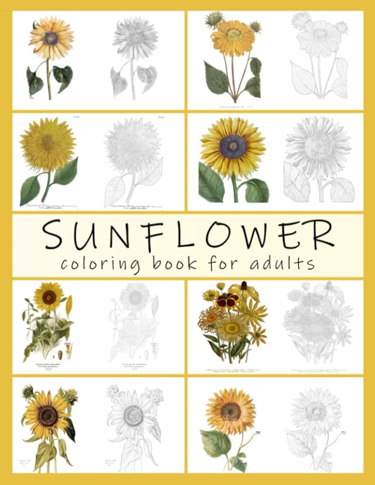 Sunflower coloring book for adults realistic vintage botanil flower art drawings in light graysle ashley ada books