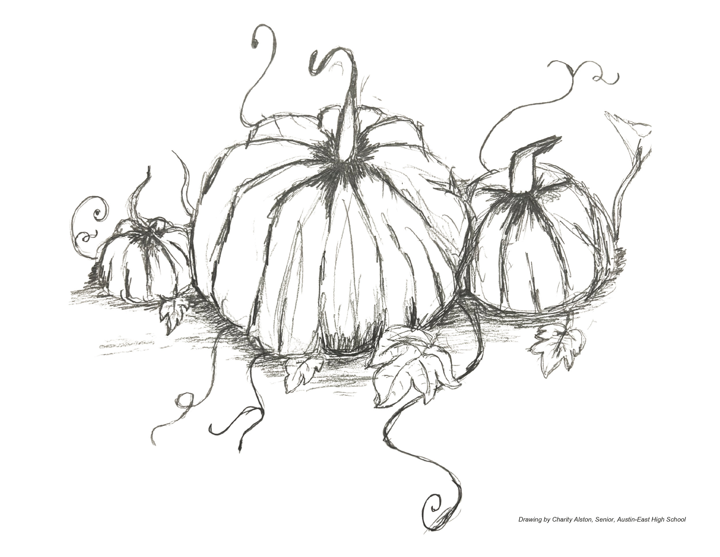 Coloring sheets for thanksgiving