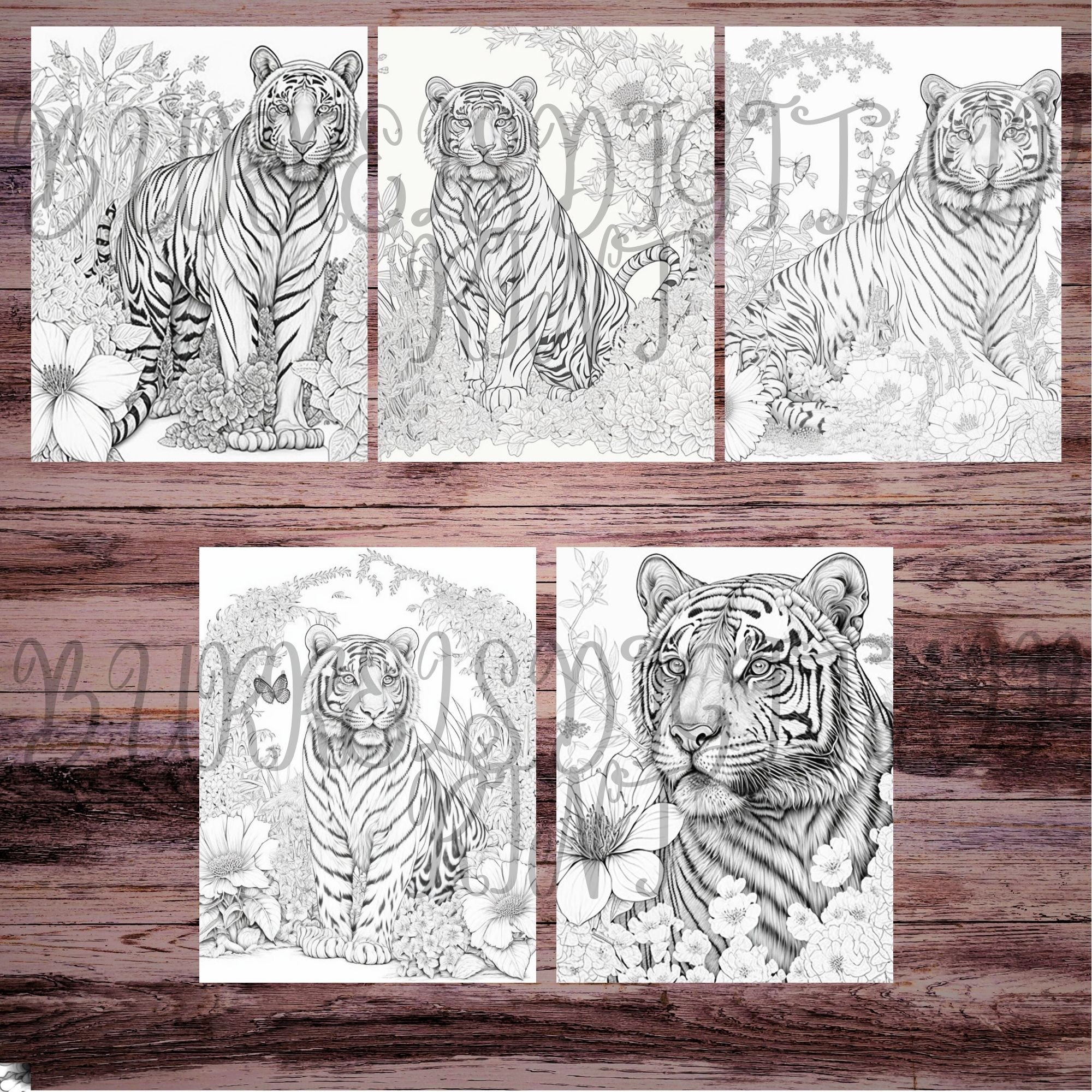 Relax and roar majestic and relaxing tiger coloring pages for adults