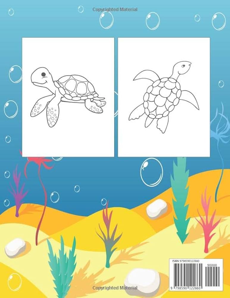 Turtle coloring book turtle coloring book for toddlers kids or adult relaxation and cute easy and relaxing realistic beautiful designs birthday gifts publications cutebook books