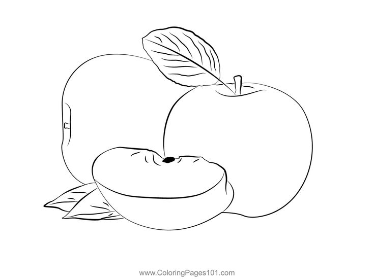 Green red apples coloring page in apple coloring pages apple coloring coloring pages