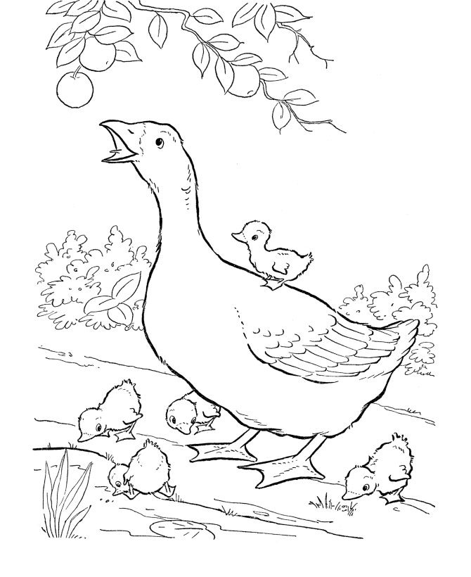 Geese coloring pages
