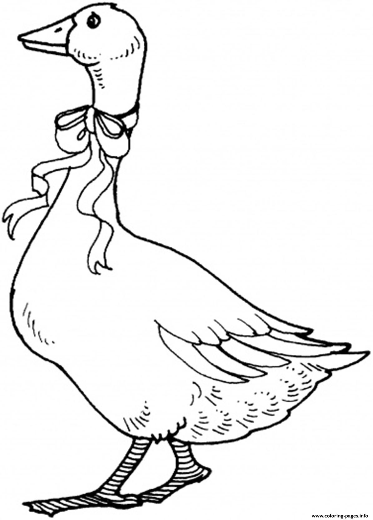 Print goose with ribbon printable animal sfc coloring pages animal coloring pages coloring pages bird drawings