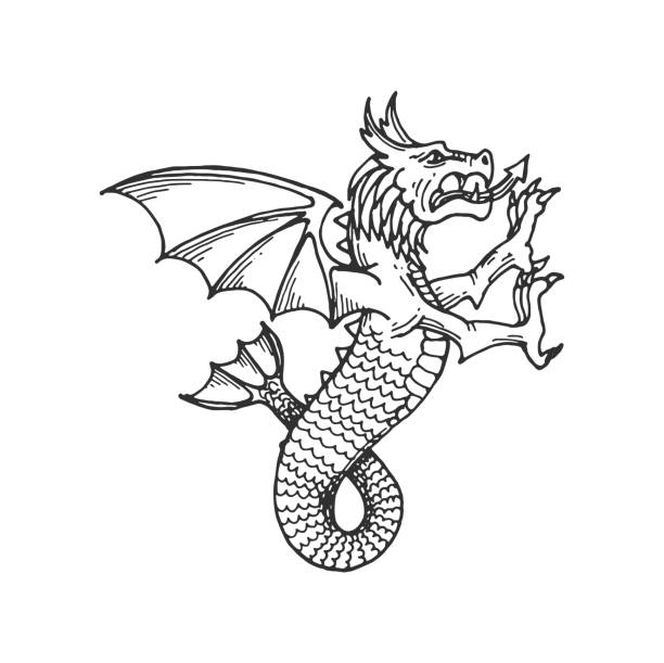 Dragon roar stock illustrations royalty