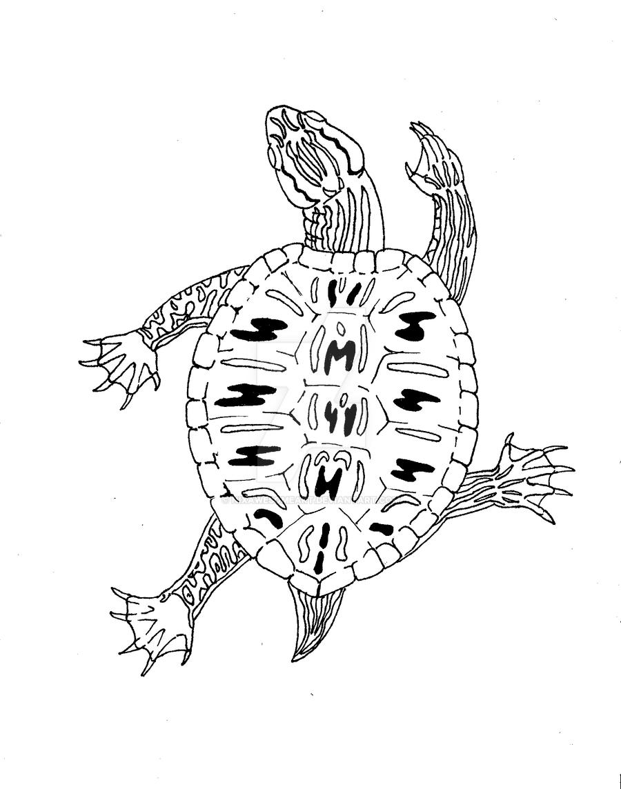 Red eared slider coloring page by nixawesomeart on