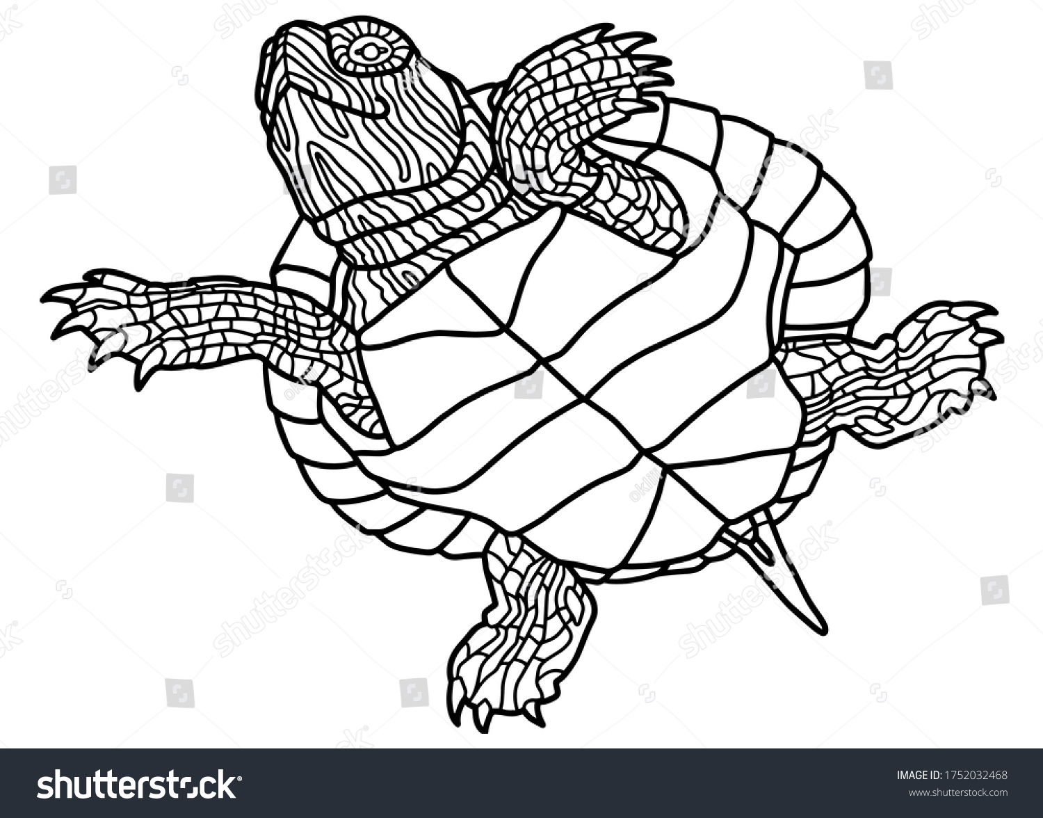 Vector illustration coloring book realistic design stock vector royalty free