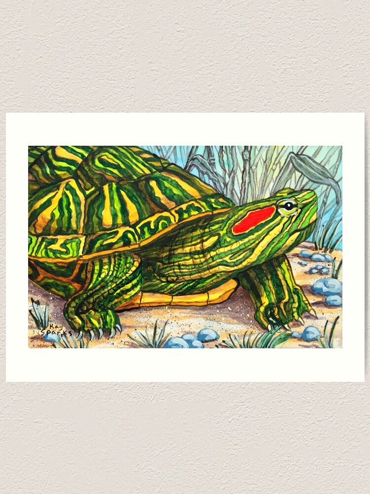 The red eared slider art print for sale by wildestart