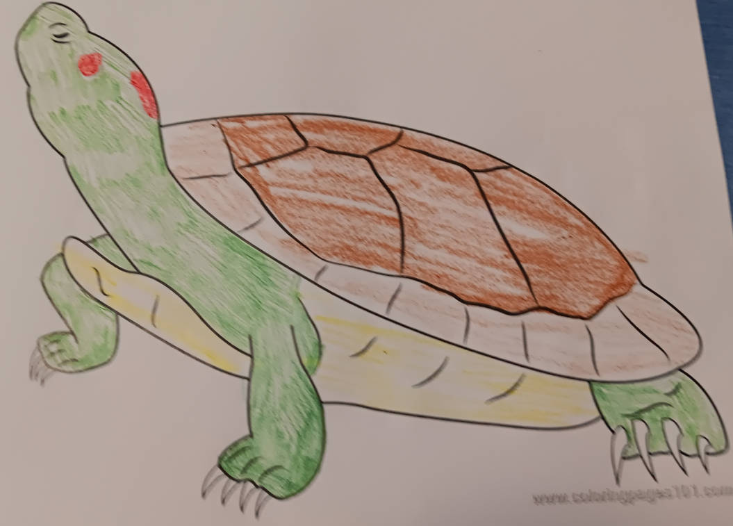 Sympathy coloring page for schools turtle by sagovir on