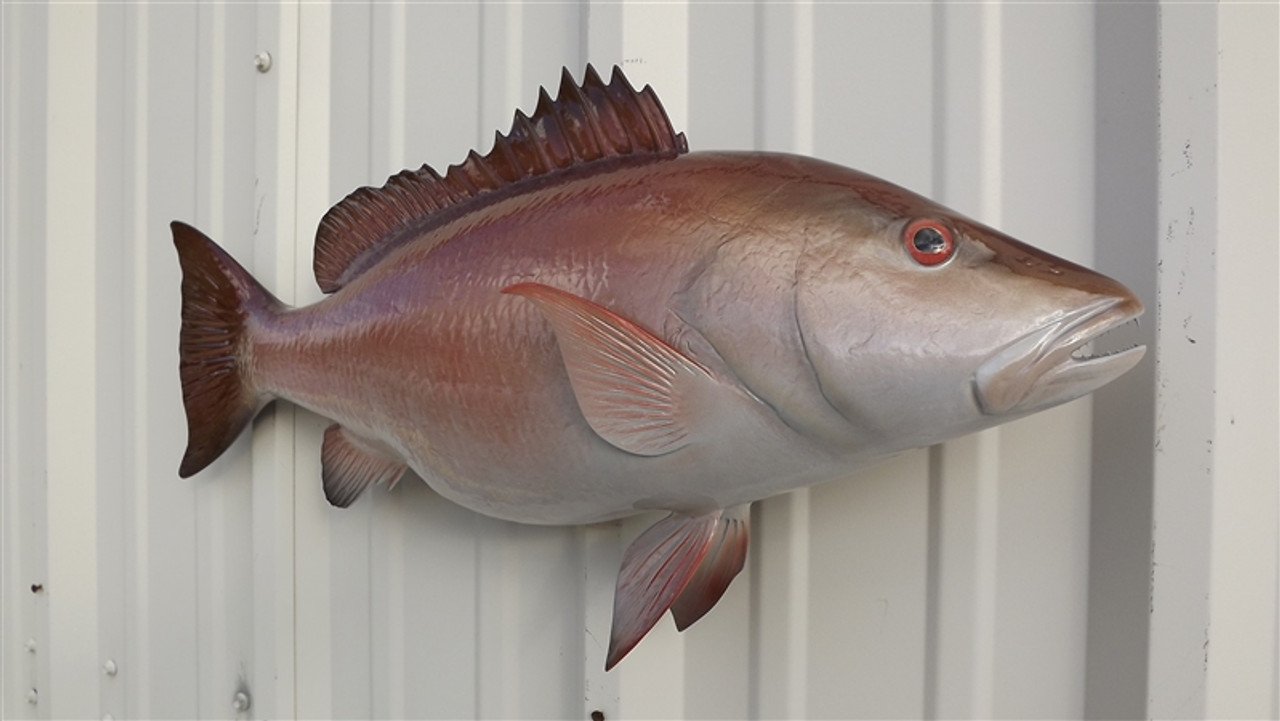 Mangrove snapper fish mount two sided wall mount fish replica