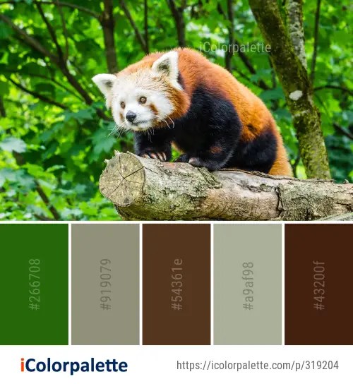 Red panda color palette ideas in