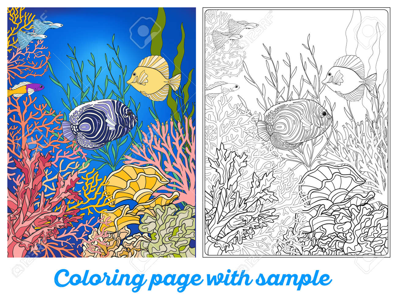 Adult coloring book coloring page with underwater world coral reef with colored sample corals fish and seaweeds outline vector illustration stock photo picture and royalty free image image