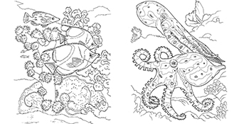 Coral reef coloring book soffer ruth books