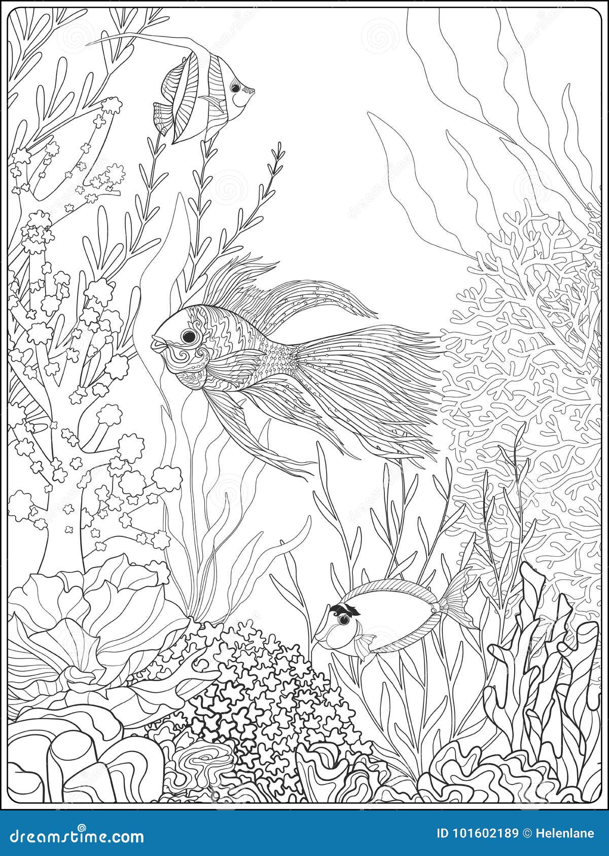 Coral reef coloring page stock illustrations â coral reef coloring page stock illustrations vectors clipart