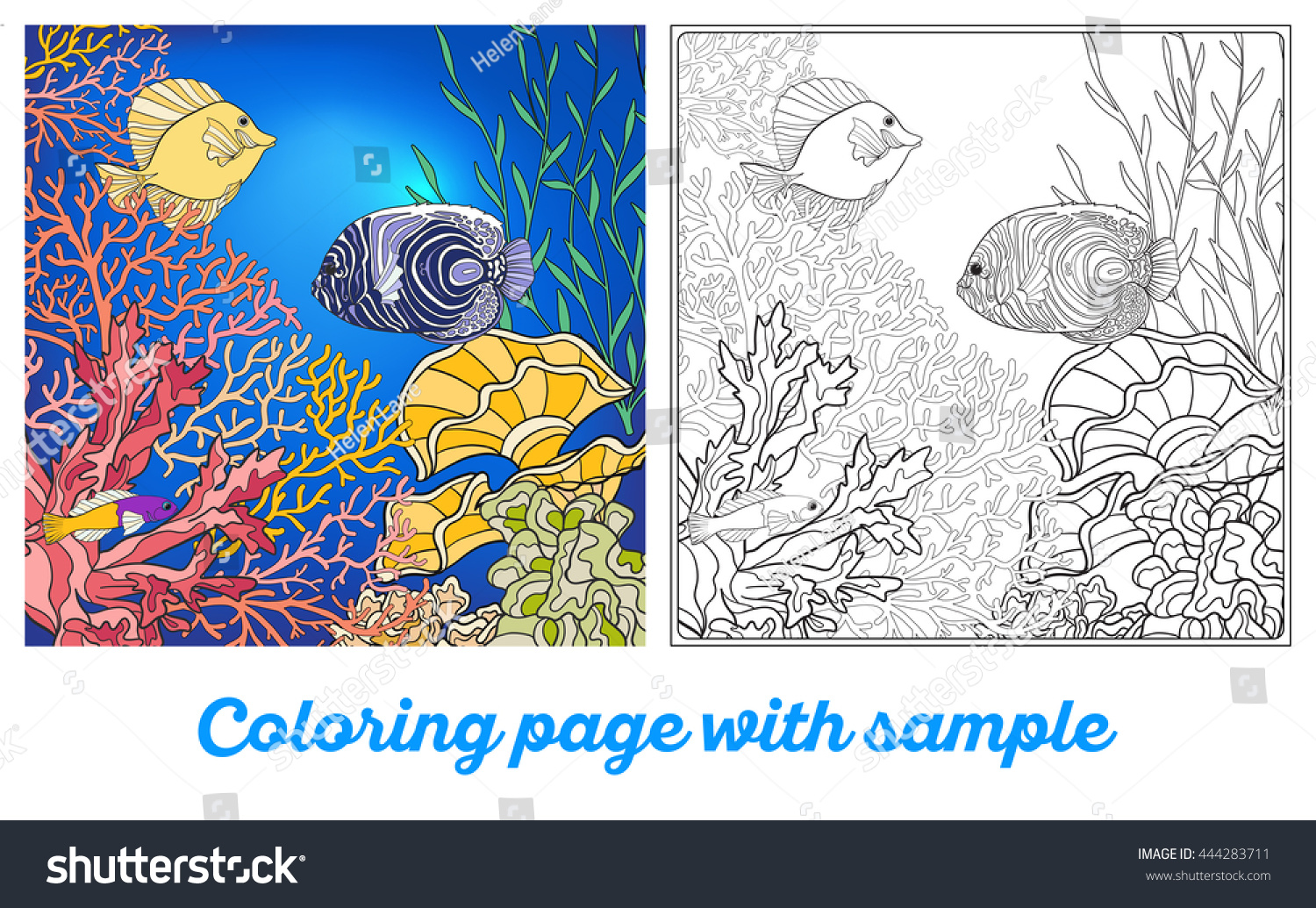 Adult coloring book coloring page underwater stock vector royalty free