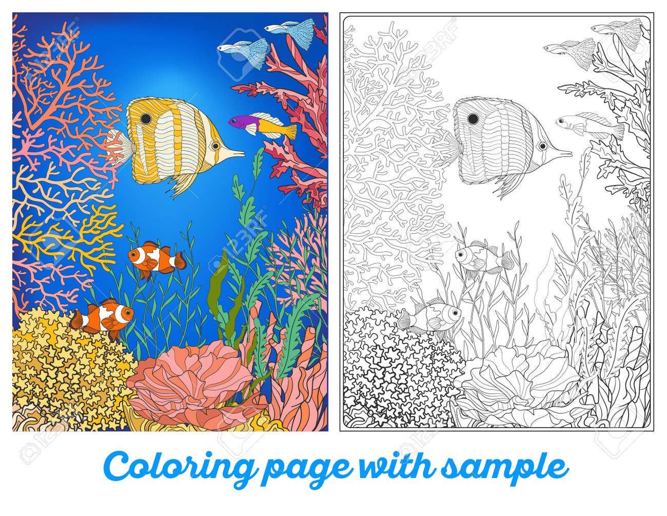 Adult coloring book coloring page with underwater world coral reef with colored sample corals fish and seaweeds outline vector illustration stock photo picture and royalty free image image