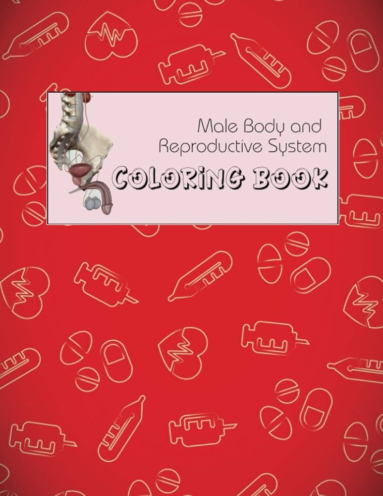 Buy male body and reproductive system colorg book anatomy and physiology colorg book for adults college and medical students book onle at low prices dia male body and reproductive system