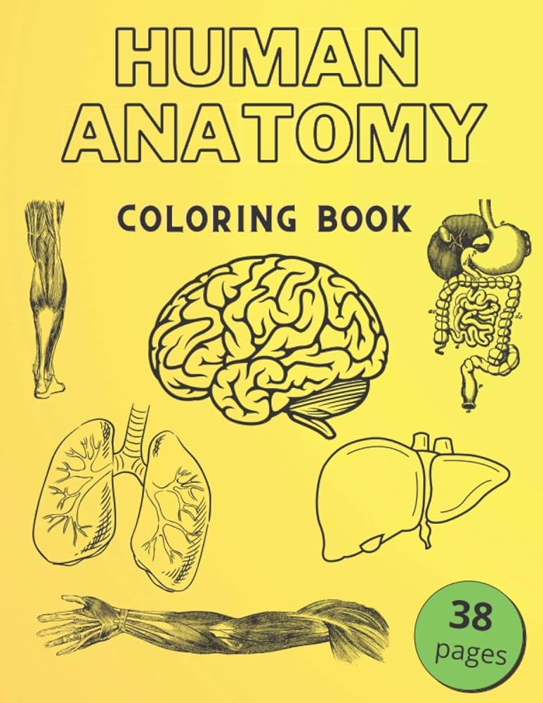 Human anatomy coloring book informative guide to the human body internal organs the nervous systemreproductive systems and limbs for kids human golden books
