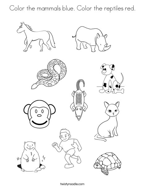 Color the mammals blue color the reptiles red coloring page