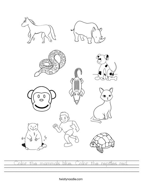 Color the mammals blue color the reptiles red worksheet
