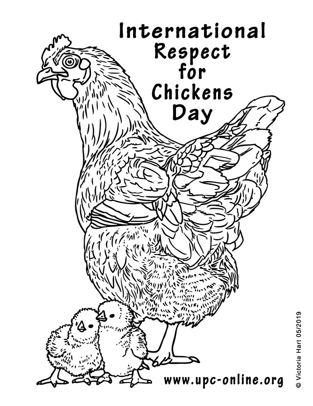 International respect for chickens day coloring page