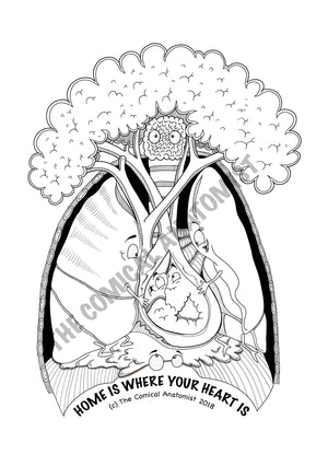 Respiratory system coloring book digital product the ical anatomist shop