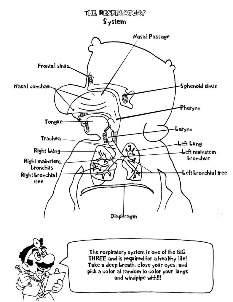 Doctor marios anatomy coloring book page by ambrosianburbank on