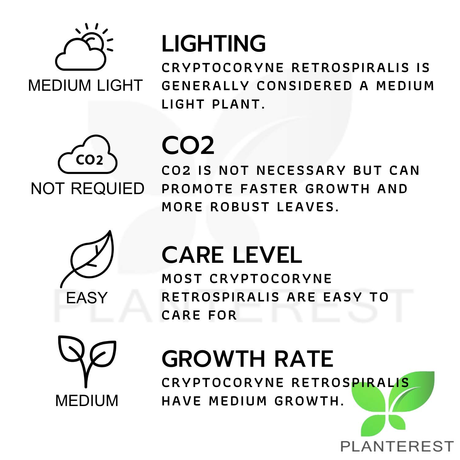 Planterest