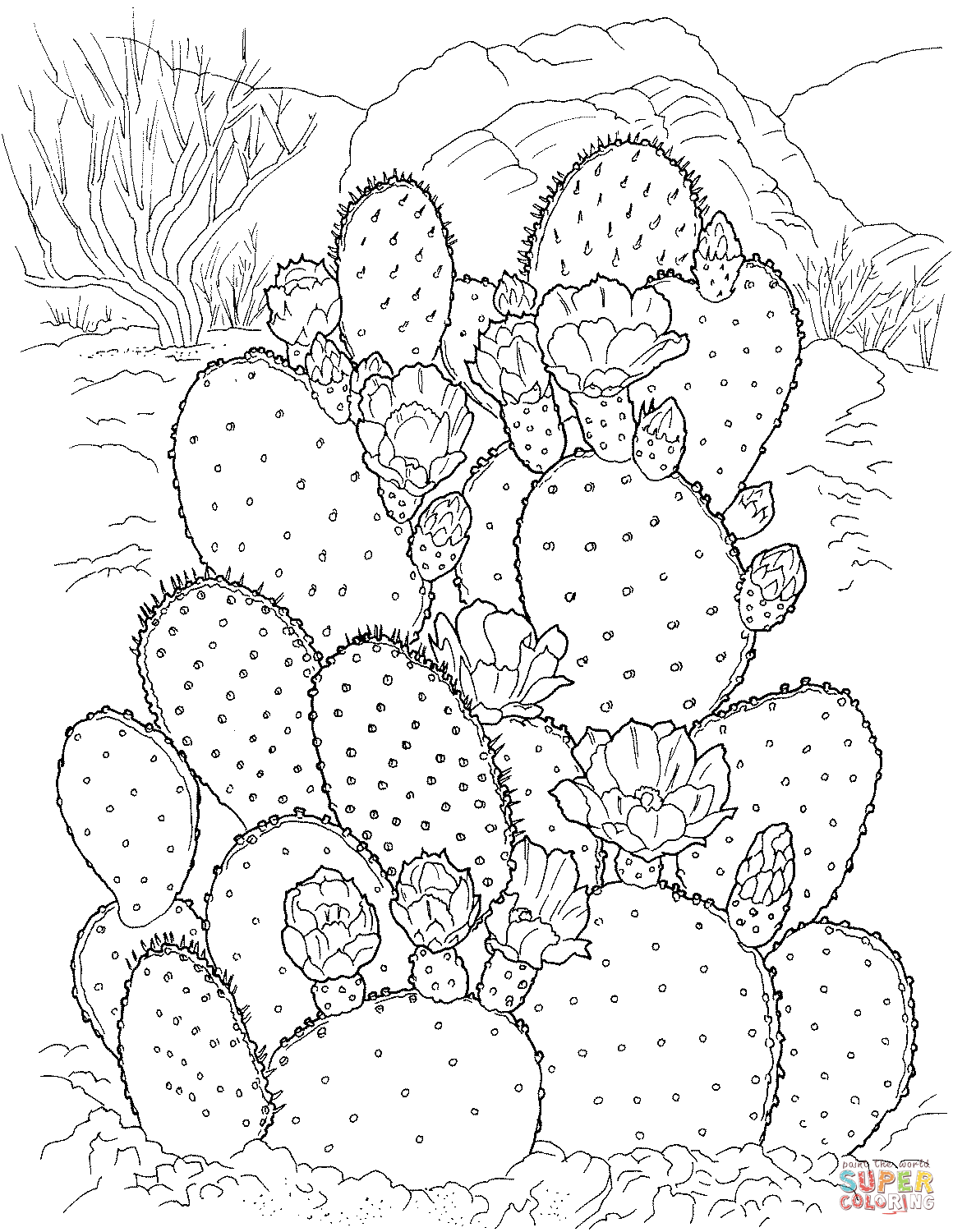 Rhipsalidopsis rosea cactus coloring page