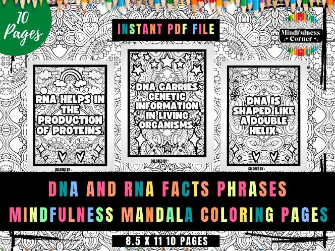 Dna and rna facts phrases coloring pages no prep calm down corner teaching resources