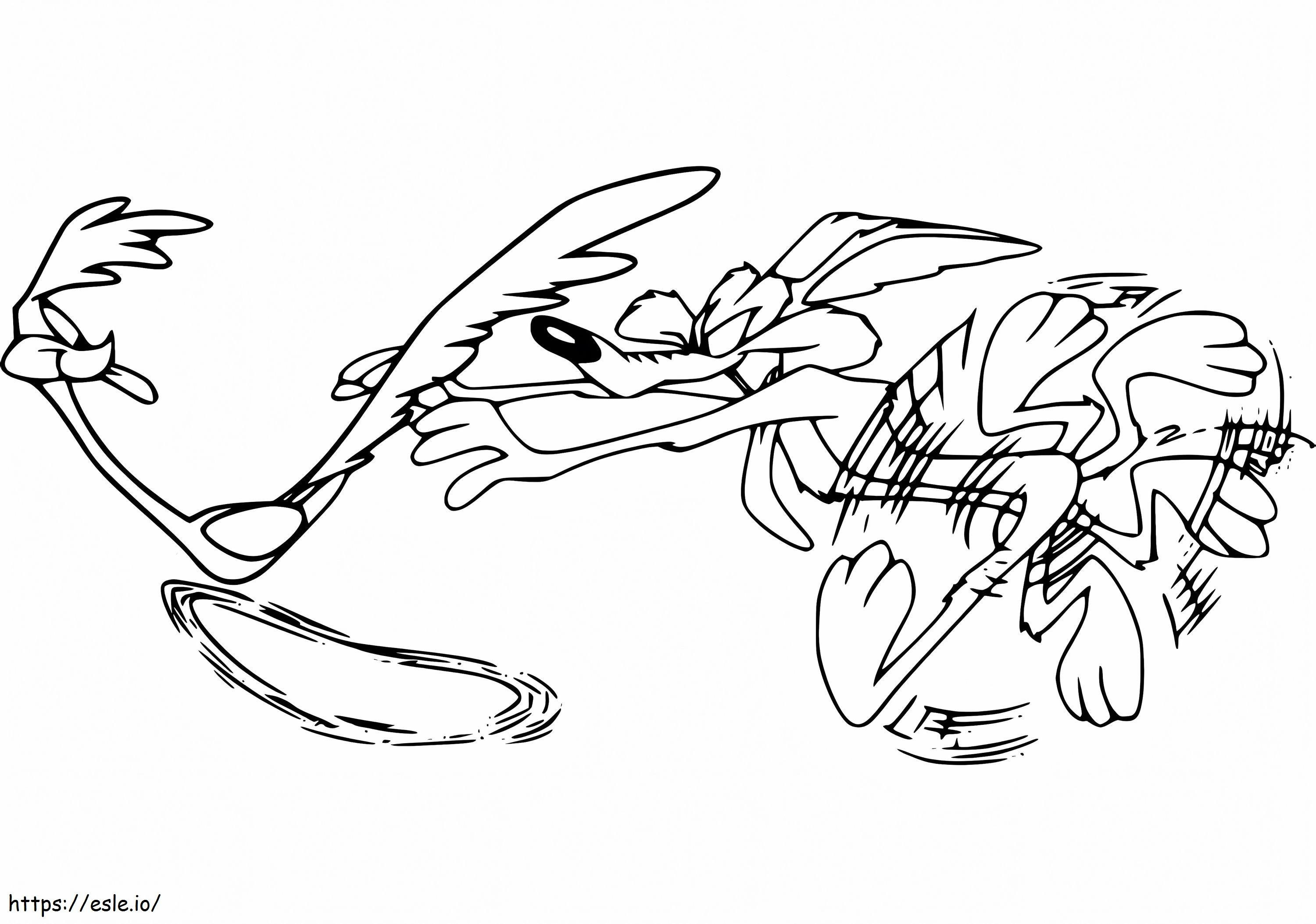 Road runner with wile e coyote coloring page