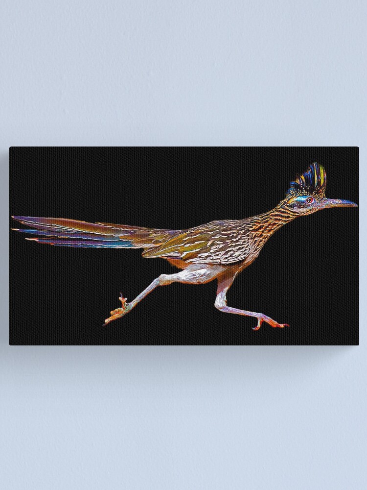 Roadrunner running canvas print for sale by abowlofsoda