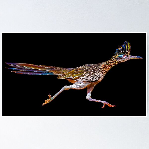 Roadrunner running poster for sale by abowlofsoda