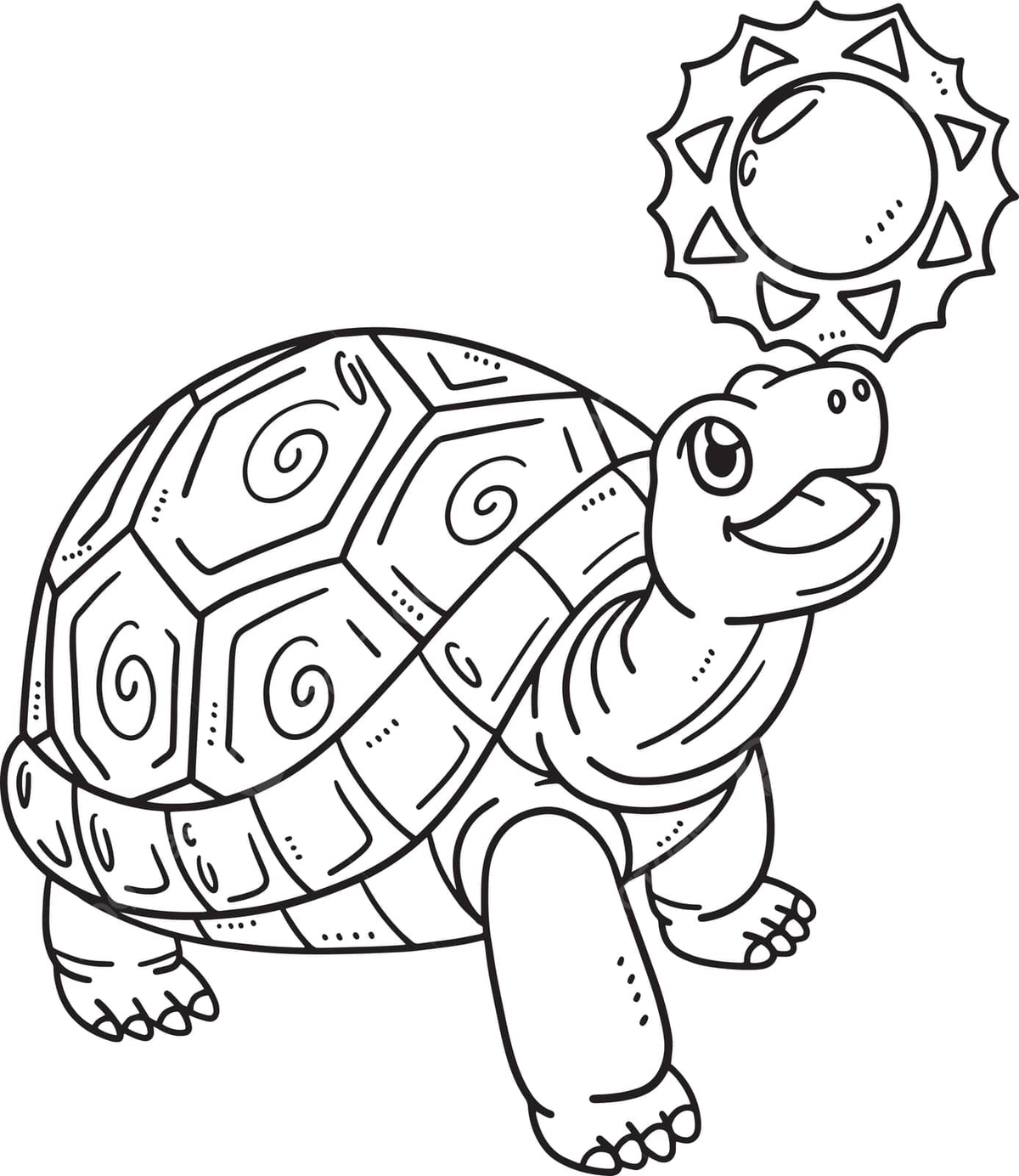 Dibujo de tortuga jugando pãgina para colorear aislada niãos playa grãfica vector png dibujos dibujo de playa dibujo de anillo dibujo infantil png y vector para dcargar gratis
