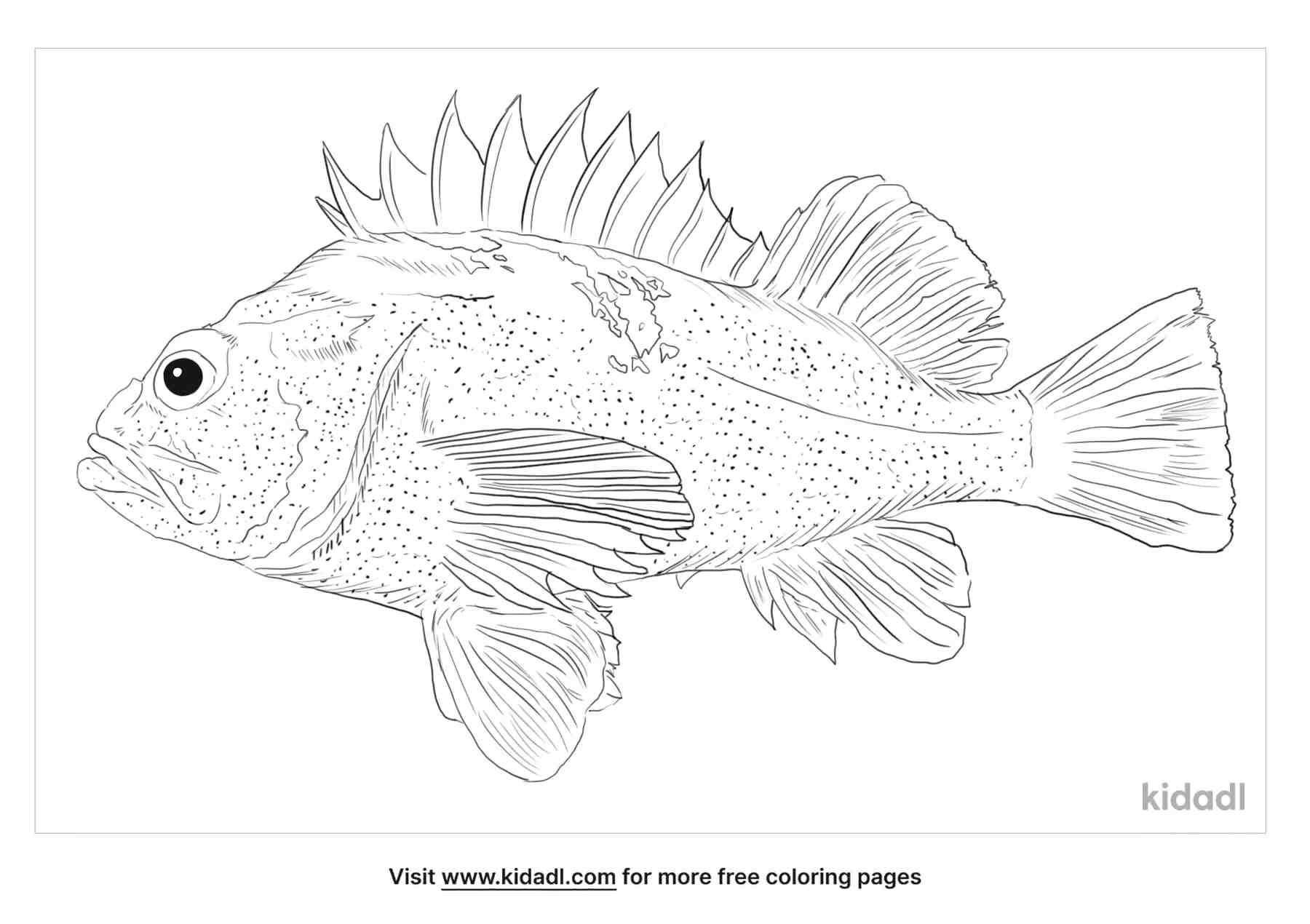 Free rockfish coloring page coloring page printables