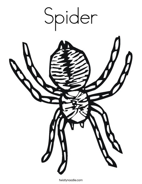 Spider coloring page