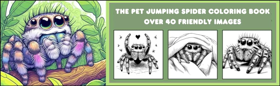 Spooders the pet jumping spider coloring book boutsianis wendy books