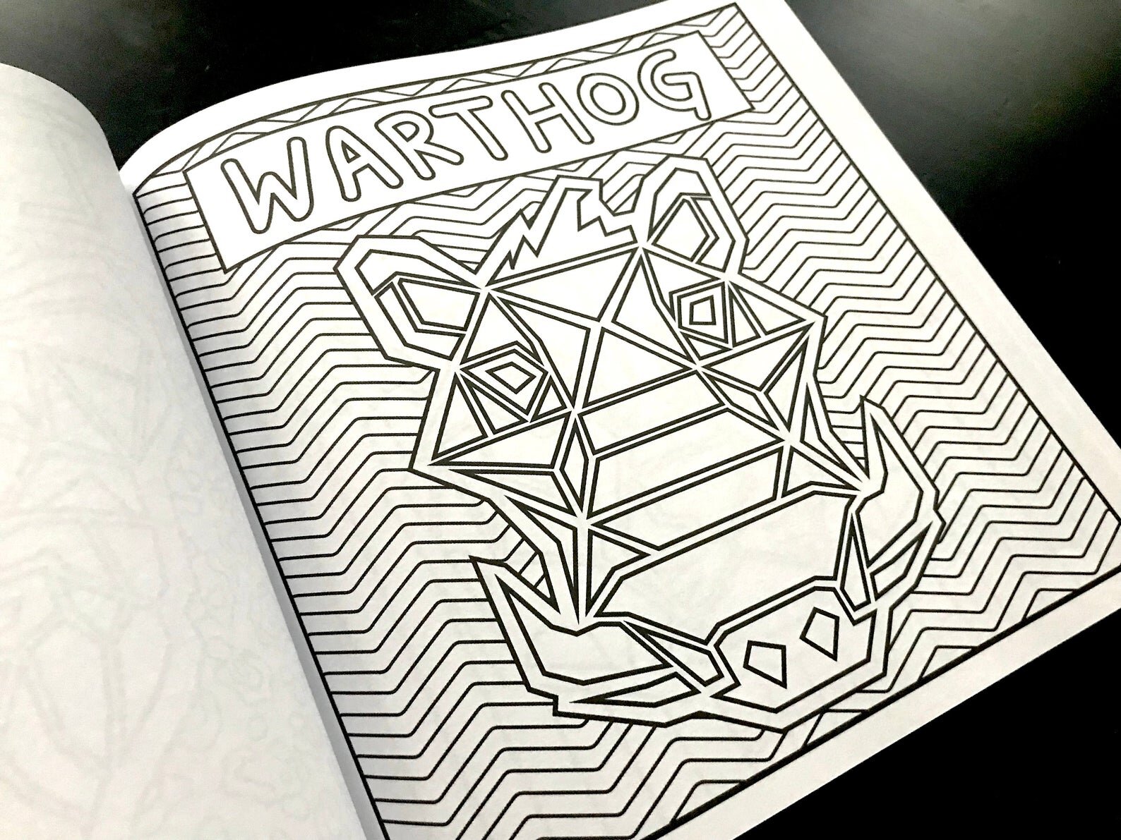 Safari animals coloring book â sarah davida