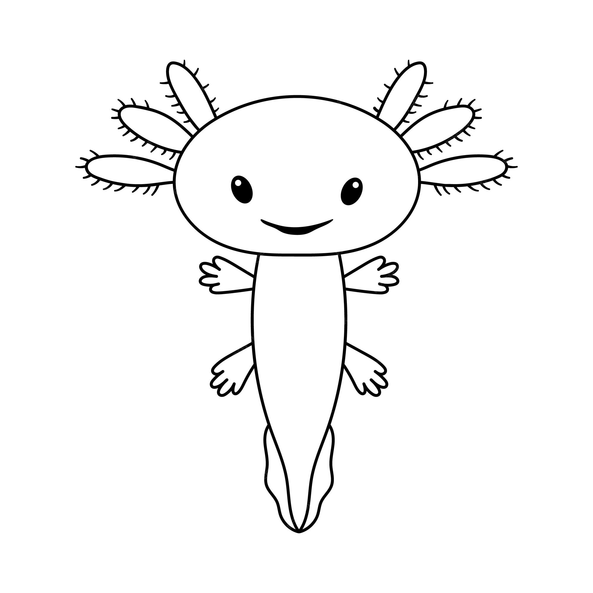 Premium vector vector illustration of cute stylized axolotl salamander isolated on white baby axolotl smile drawing in outline style for coloring book
