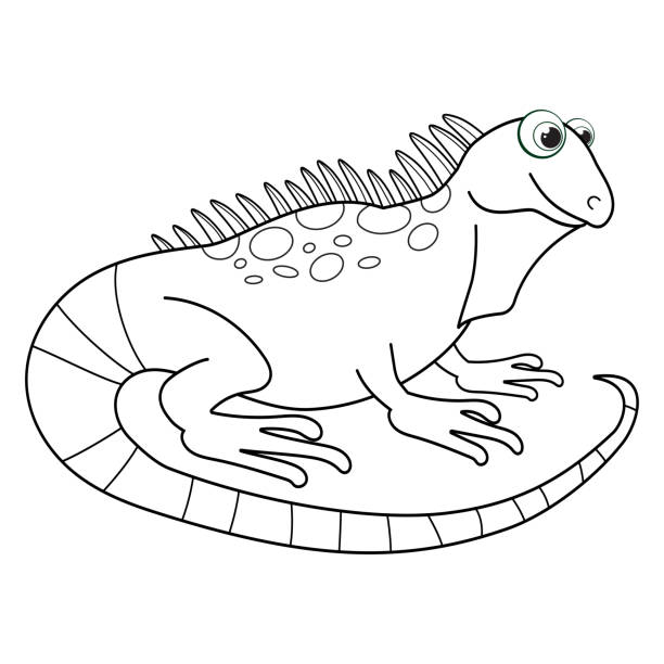 Colorless cartoon salamander coloring pages template page for coloring book of funny lizard or dragon for kids practice worksheet or antistress page for child cute outline education game eps stock illustration